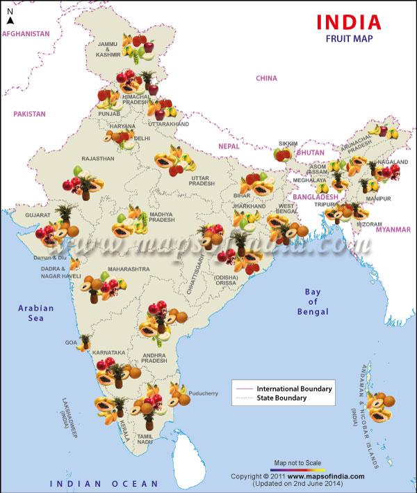 Indian Map States