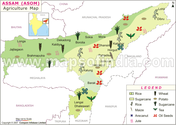 Agriculture Map of Assam