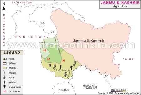 Jammu and Kashmir Agriculture Map