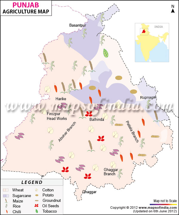 Punjab Agriculture Map