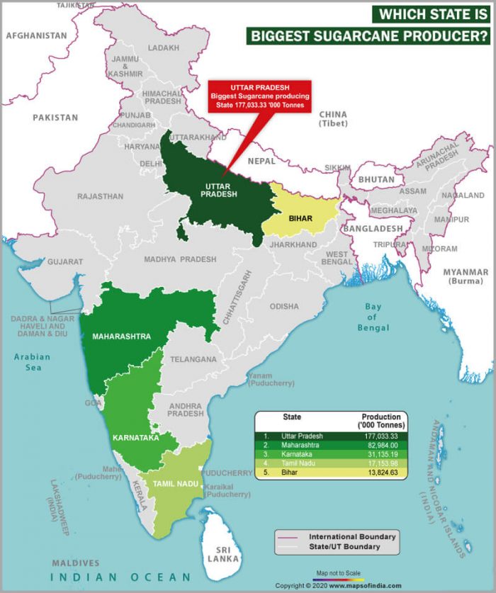 Map of India Showing the Biggest Sugarcane Producing State - Answers