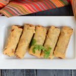 Spring Rolls