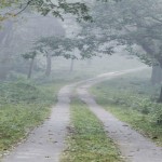 Agumbe Monsoon Destinations