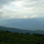 Darjeeling Monsoon Destination