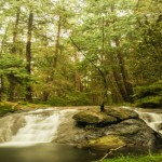 Kodaikanal Monsoon Destination