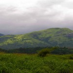 Vagamon Monsoon Destination