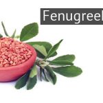 Fenugreek seeds