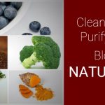 Natural blood purifiers