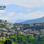 Almora Landscape