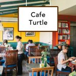 Cafe-turtle