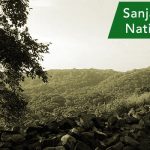 Sanjay Gandhi National Park