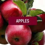 Surprising Facts about Food – Apples