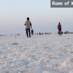 Rann of Kutch, Gujarat