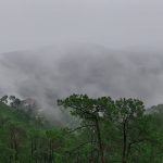 Kasauli Hill Station