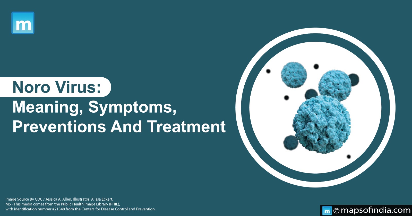 Noro Virus Meaning, Symptoms, Preventions And Treatment Blog
