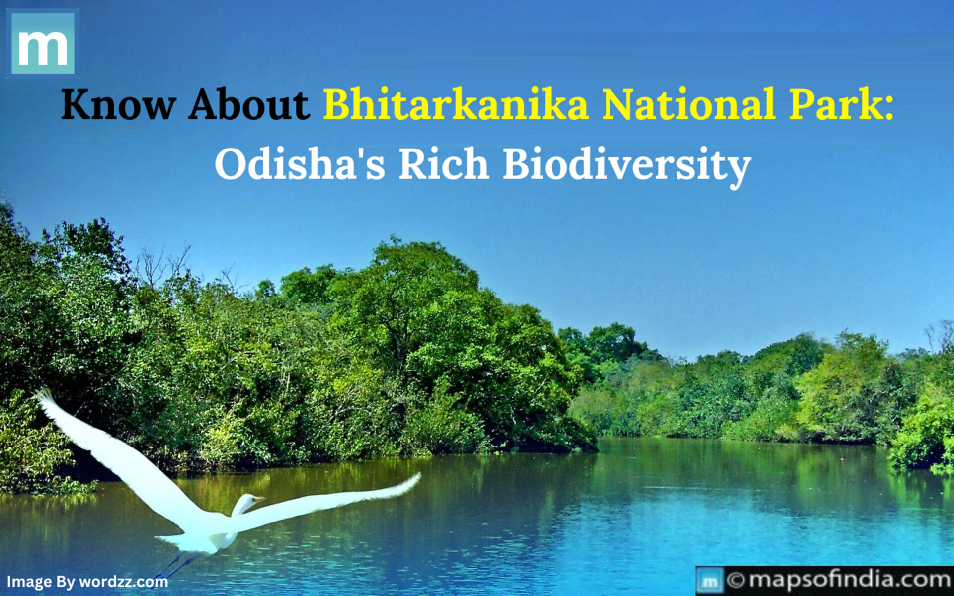 Know About Bhitarkanika National Park: Odisha’s Rich Biodiversity - Animals