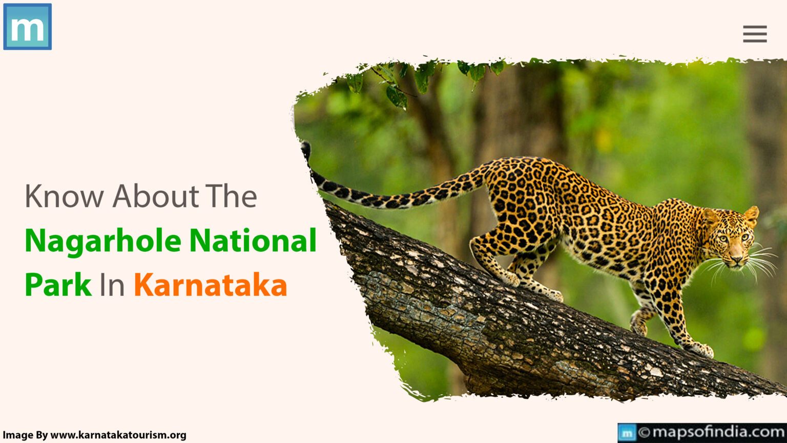 Know About The Nagarhole National Park in Karnataka - Animals