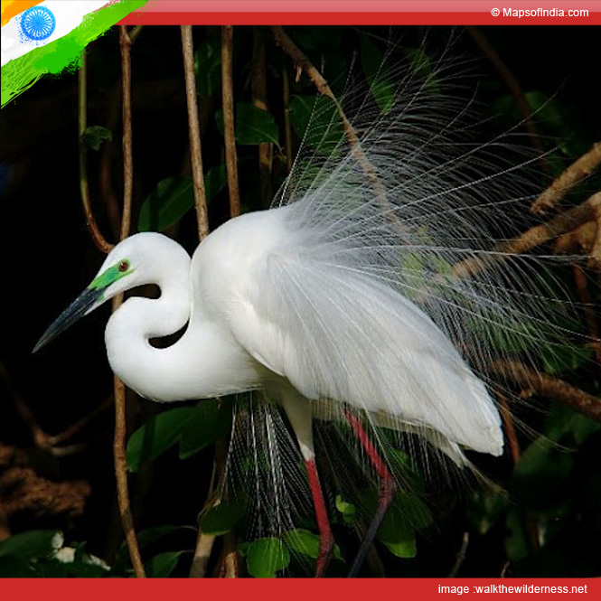 Bird Sanctuaries In Karnataka