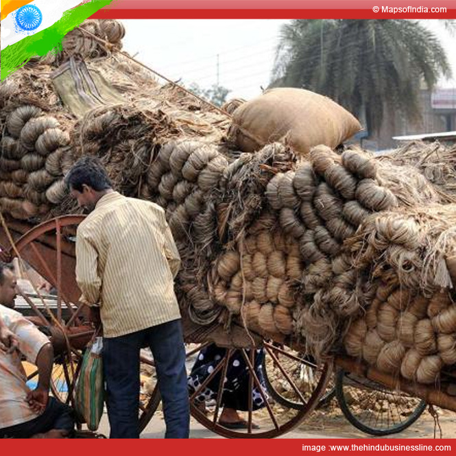 Indian Jute