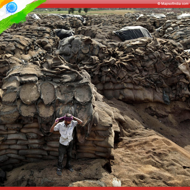 Food storage problems in India