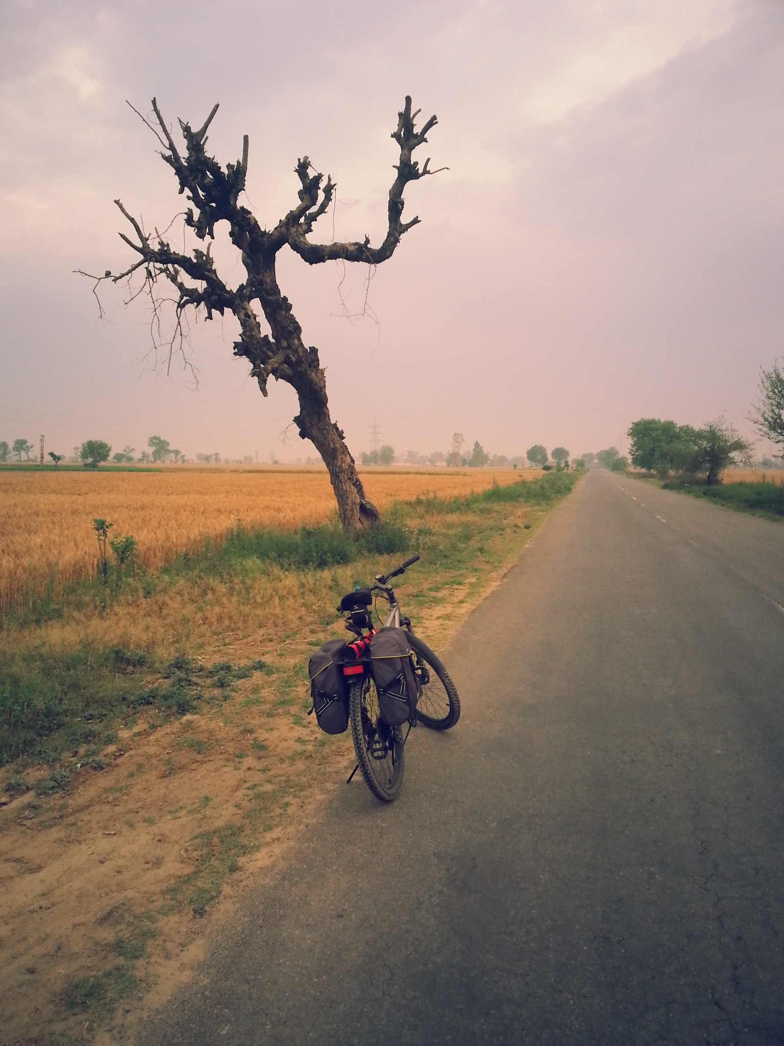 Day 56 - Raikot to Ludhiana, Punjab (Kanyakumari to Leh cycling)