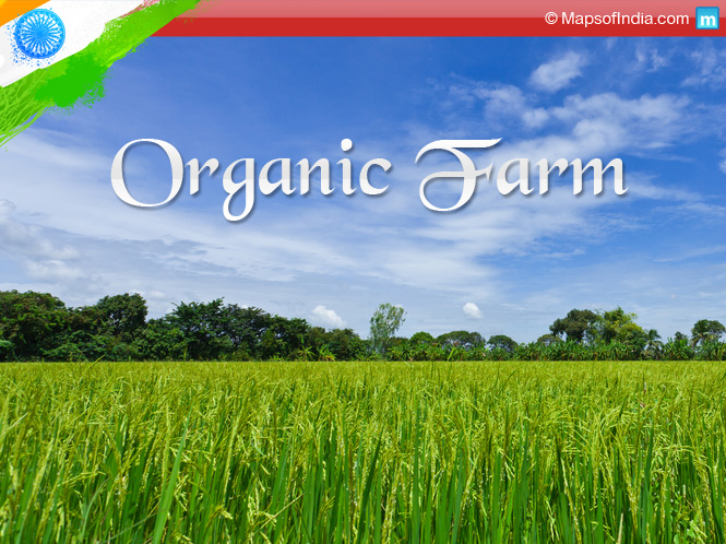 Organic farming in India