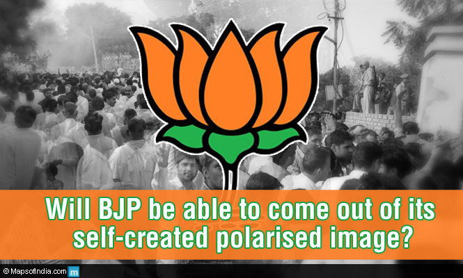 BJP's Strategy