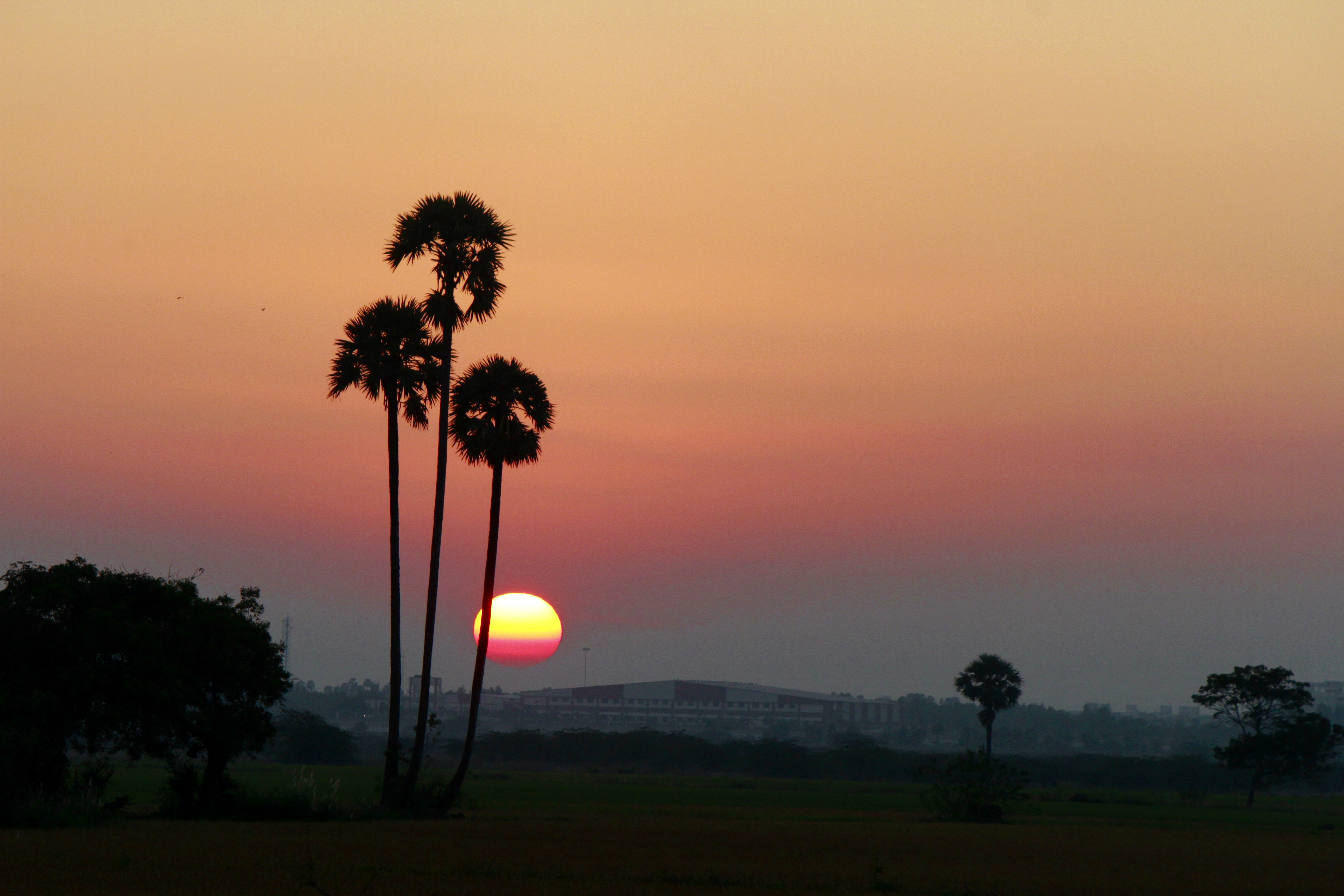 Top 5 things to do in Pondicherry