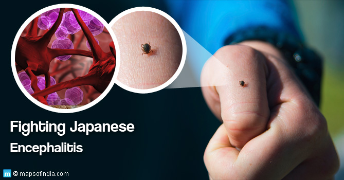 Japanese Encephalitis Viral Disease in India