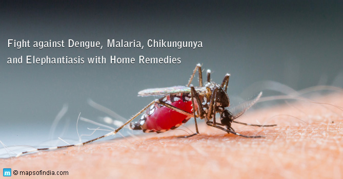 Home remedies to get rid of mosquitoes in your house