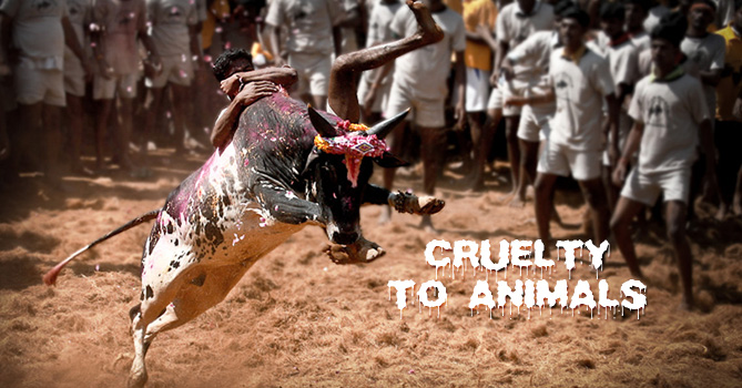 Cruelty to animals