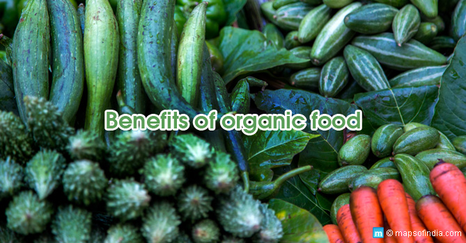Grow Your Own Organic Vegetables In Your Balcony/terrace Garden