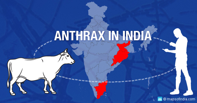 Anthrax in India