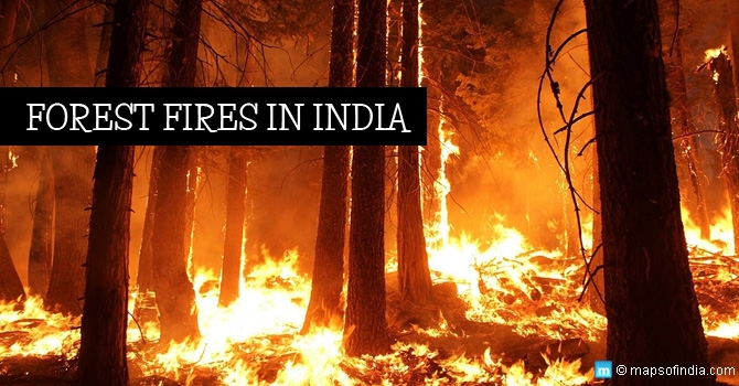 Forest Fires in India