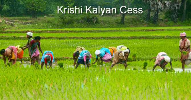 Krishi Kalyan Cess
