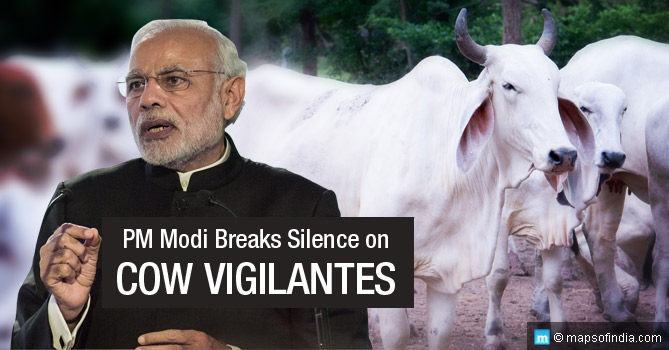 PM Narendra Modi Breaks Silence on Cow Vigilantes