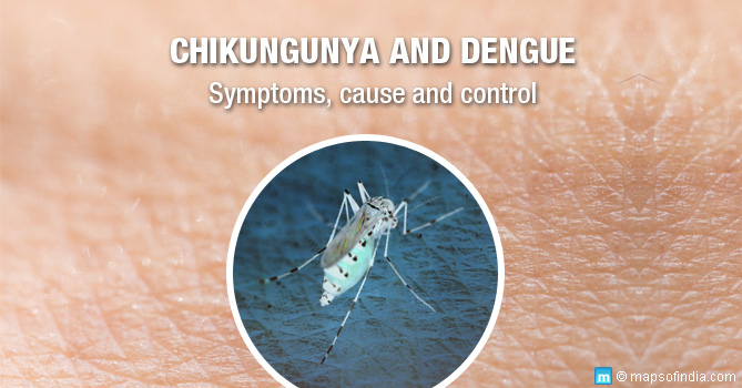 Chikungunya and Dengue: Causes, Symptoms, Prevention and Treatment
