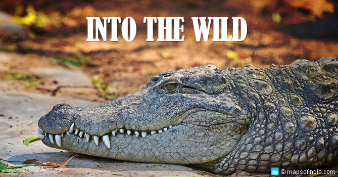 Chinnar Wildlife Sanctuary