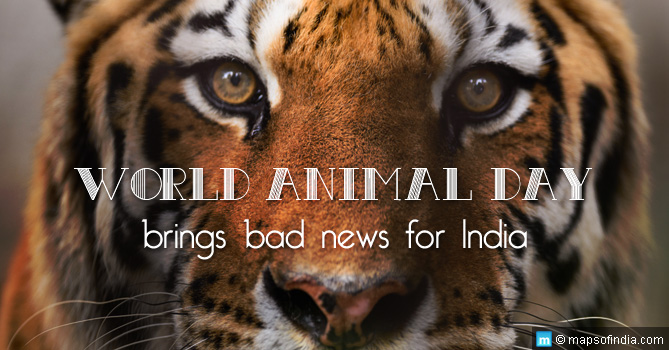 World Animal Day brings bad news for India