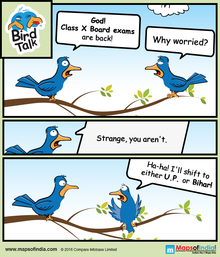 Board Exam Jokes