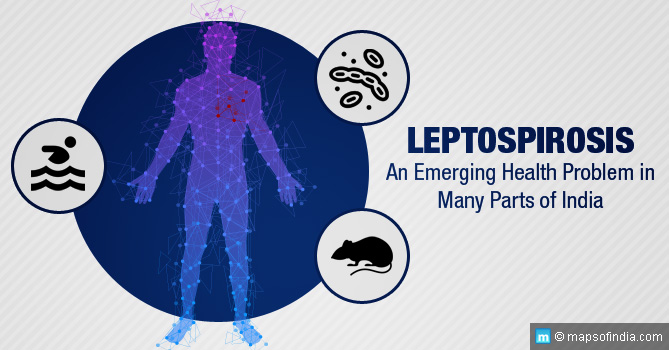 'Leptospirosis': A Deadly Disease