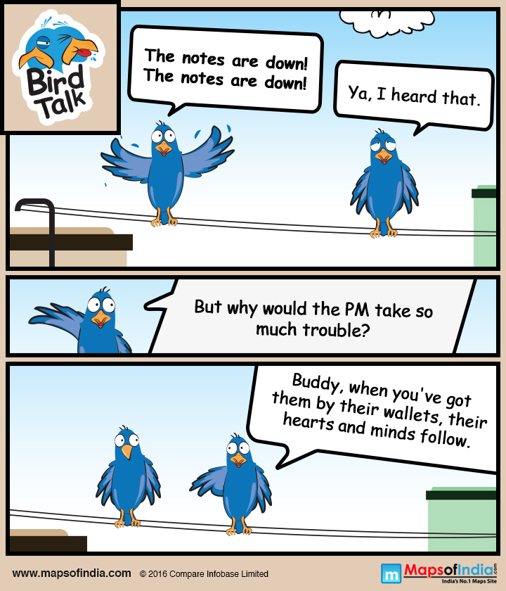 Bird Talk: Indians, please take note!