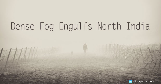 Dense Fog Engulfs North India