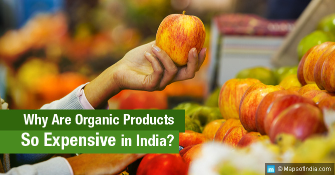 Why Are Organic Products So Expensive in India
