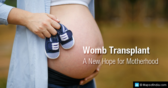 Womb transplant surgery has opened up another way to motherhood besides surrogacy or adoption
