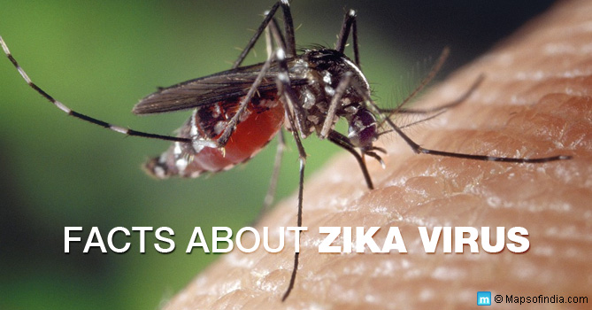 zika-virus