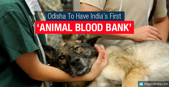 animal-blood-bank