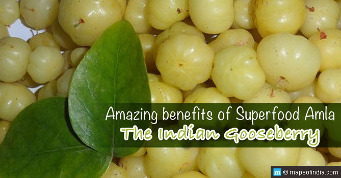 35 Amazing benefits of Superfood Amla – The Indian Gooseberry