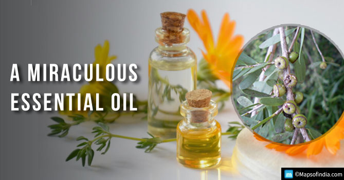 Teat Tree oil