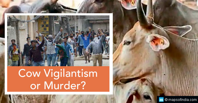 Cow Vigilantism: Are we becoming murderers in the name of religion?